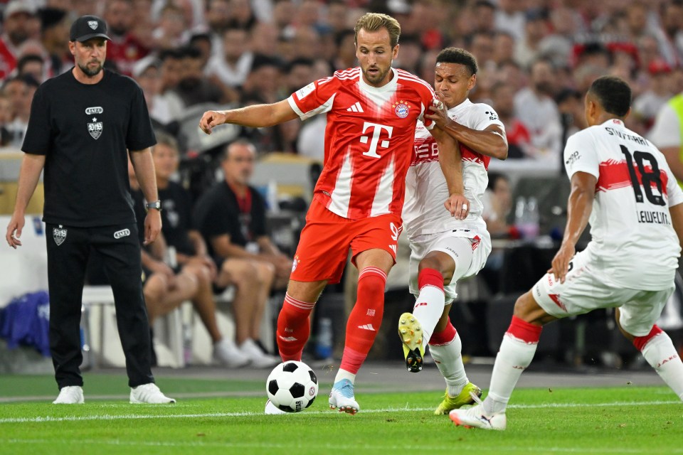 斯接格纳布, 斯图加特