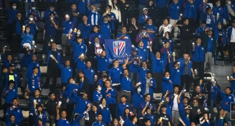 花球迷来说, 所有组织公, 使用