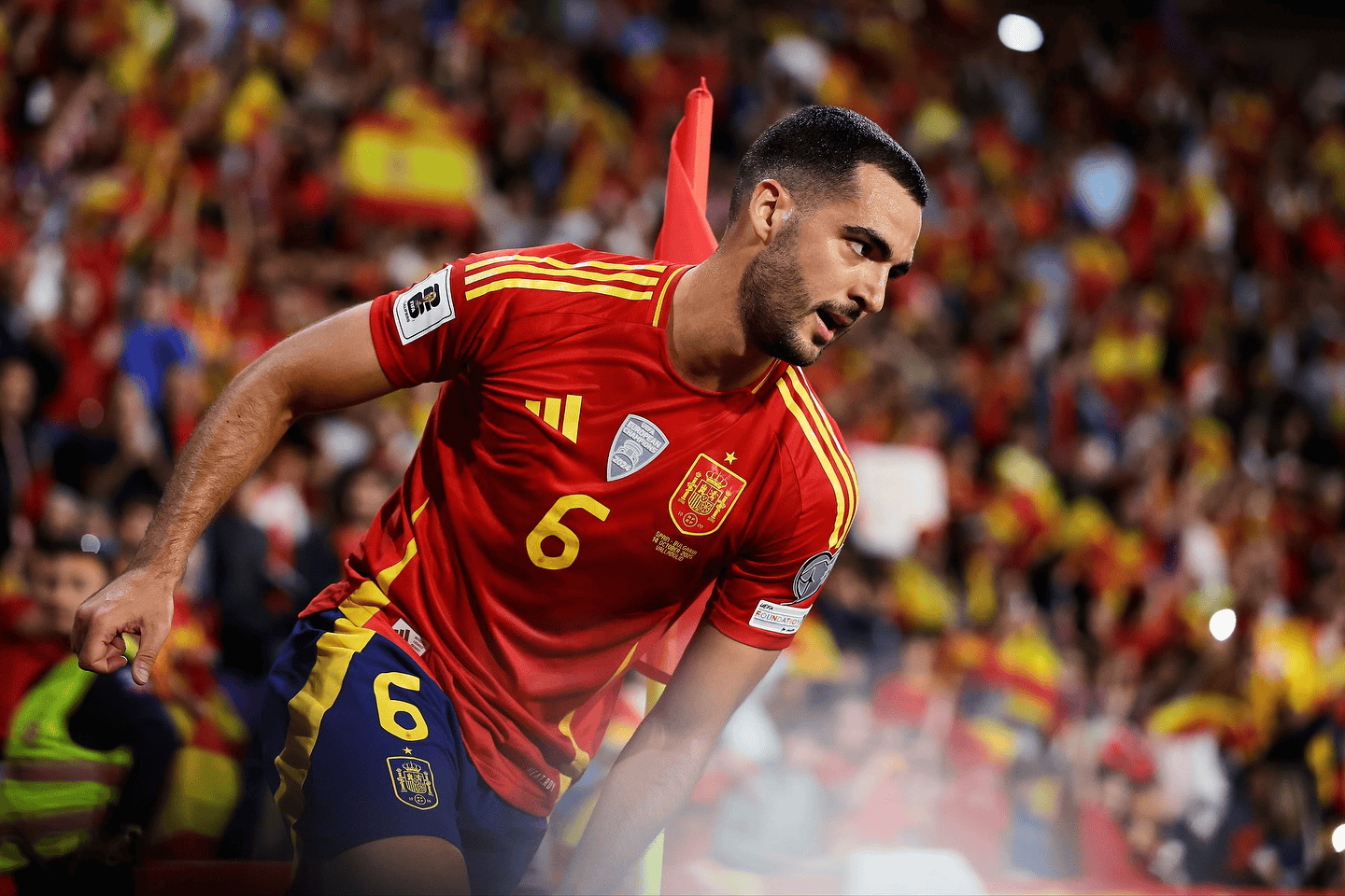 离世界杯又, 社媒, msn